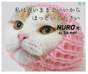 【悲報】SONY「NURO辞めたい？なら57000円払え」